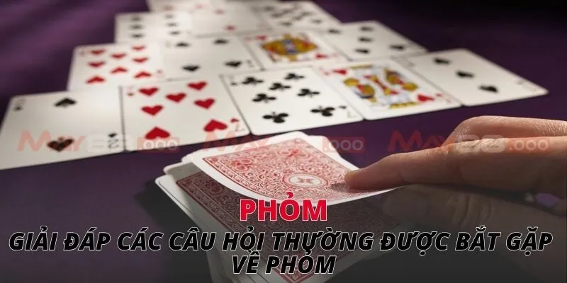 Giải đáp các câu hỏi thường được bắt gặp về phỏm